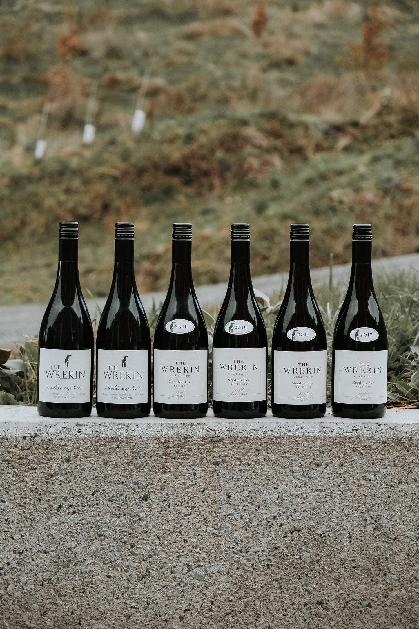 Aged Pinot Pack
