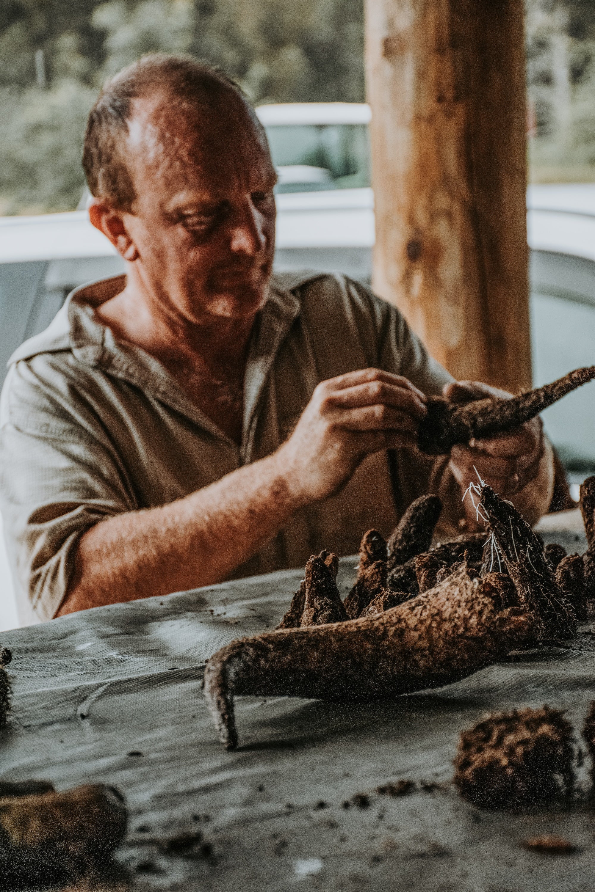 Jeremy Hyland extracting biodynamic prep from cow horns