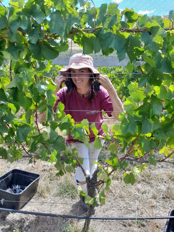 Margaux being very Margaux in our tressage rows