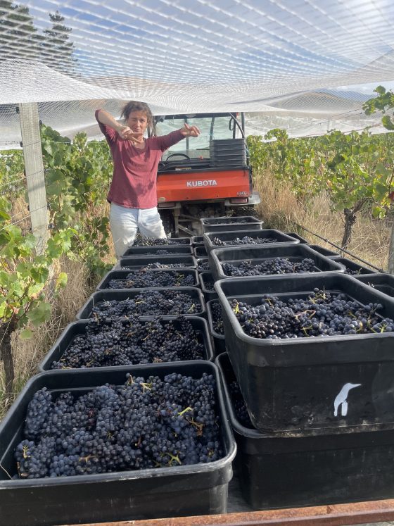 Margaux and her beloved grapes