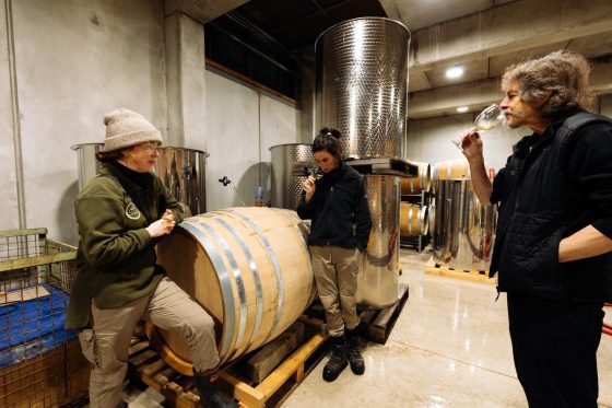 Anna, Margaux and Hätsch discussing M's new carbonic wine